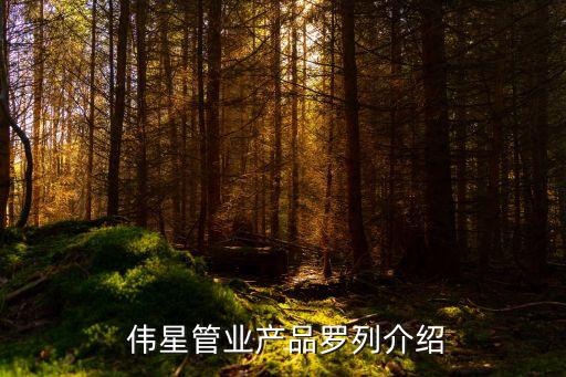  偉星管業(yè)產品羅列介紹