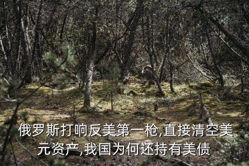  俄羅斯打響反美第一槍,直接清空美元資產(chǎn),我國(guó)為何還持有美債