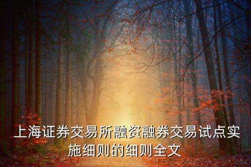  上海證券交易所融資融券交易試點(diǎn)實(shí)施細(xì)則的細(xì)則全文