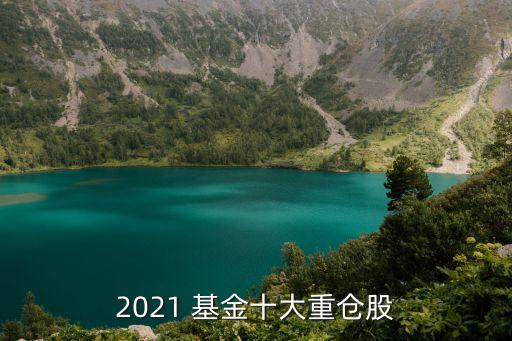 2021 基金十大重倉股