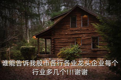 誰(shuí)能告訴我股市各行各業(yè)龍頭企業(yè)每個(gè)行業(yè)多幾個(gè)!!!謝謝
