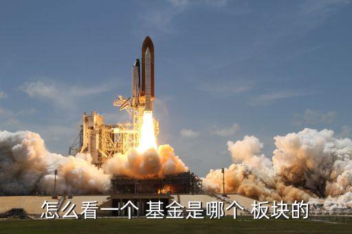 怎么看一個 基金是哪個 板塊的