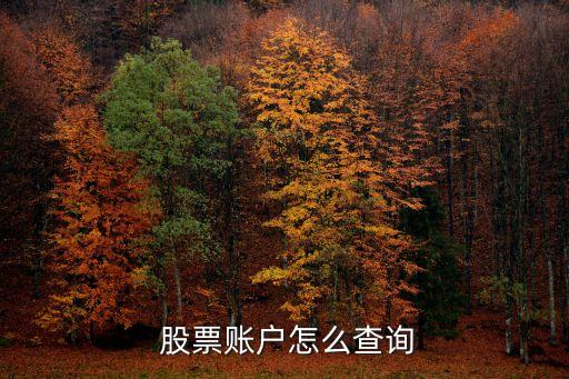 手機(jī)號(hào)查股票,怎么查手機(jī)號(hào)注冊(cè)了股票