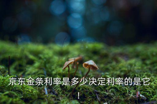  京東金條利率是多少?zèng)Q定利率的是它!