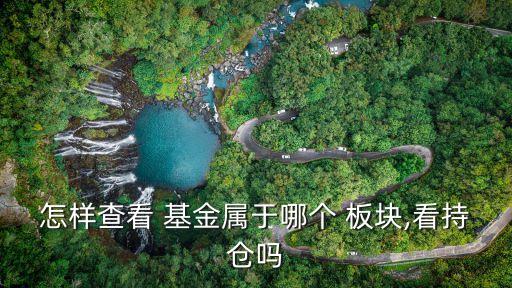 怎樣查看 基金屬于哪個 板塊,看持倉嗎