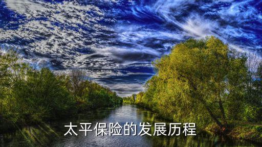 太平保險的發(fā)展歷程