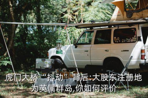虎門大橋“抖動”背后:大股東注冊地為英屬群島,你如何評價(jià)