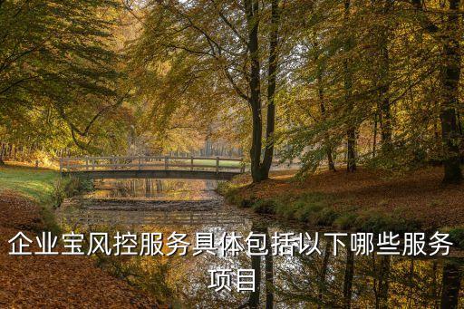 企業(yè)寶風(fēng)控服務(wù)具體包括以下哪些服務(wù)項目