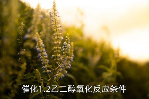 催化1.2乙二醇氧化反應(yīng)條件