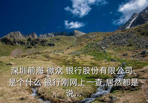 深圳前海 微眾 銀行股份有限公司、是個什么 銀行剛網(wǎng)上一查,居然都是說...