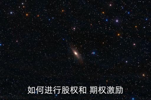 如何進(jìn)行股權(quán)和 期權(quán)激勵(lì)
