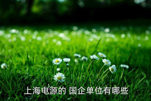 上海國(guó)企