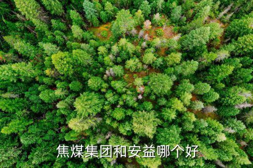  焦煤集團和安益哪個好