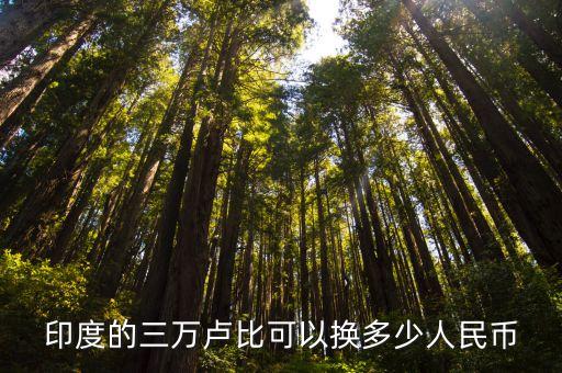 印度的三萬(wàn)盧比可以換多少人民幣