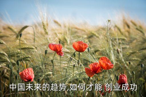 中國怎么創(chuàng)業(yè),自己0基礎怎么創(chuàng)業(yè)