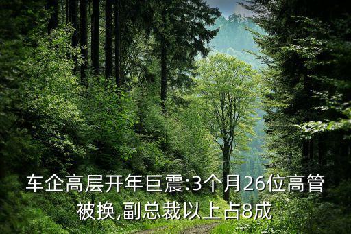 豐田汽車中國區(qū)負(fù)責(zé)人,中國收購豐田汽車