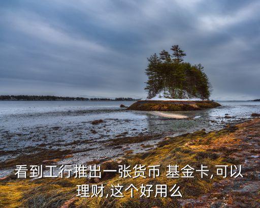 看到工行推出一張貨幣 基金卡,可以理財(cái),這個(gè)好用么