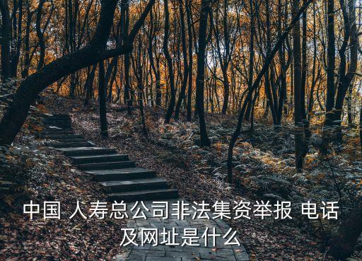 中國 人壽總公司非法集資舉報(bào) 電話及網(wǎng)址是什么