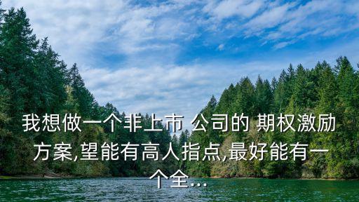 我想做一個(gè)非上市 公司的 期權(quán)激勵(lì) 方案,望能有高人指點(diǎn),最好能有一個(gè)全...