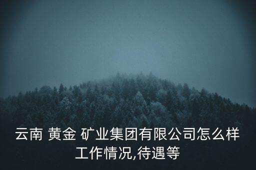 云南 黃金 礦業(yè)集團(tuán)有限公司怎么樣工作情況,待遇等