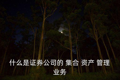 集合資產(chǎn)管理計劃投資范圍,建立集合資產(chǎn)管理計劃的投資主辦人員