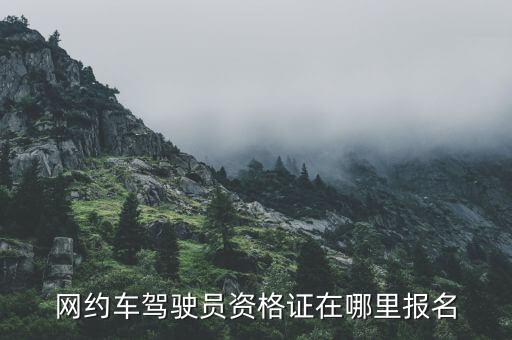 網(wǎng)約車駕駛員資格證在哪里報(bào)名