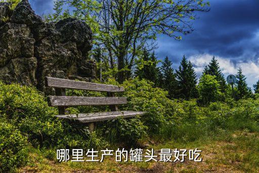哪里生產的罐頭最好吃