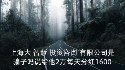 上海大 智慧 投資咨詢 有限公司是騙子嗎說(shuō)給他2萬(wàn)每天分紅1600