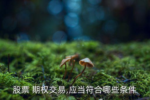 股票 期權(quán)交易,應(yīng)當符合哪些條件