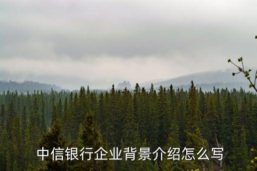  中信銀行企業(yè)背景介紹怎么寫(xiě)