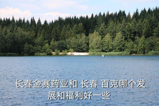 長(zhǎng)春金賽藥業(yè)和 長(zhǎng)春 百克哪個(gè)發(fā)展和福利好一些