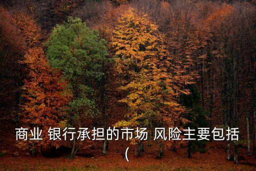 商業(yè) 銀行承擔(dān)的市場 風(fēng)險(xiǎn)主要包括(