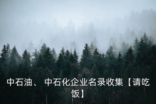 中石油、 中石化企業(yè)名錄收集【請吃飯】