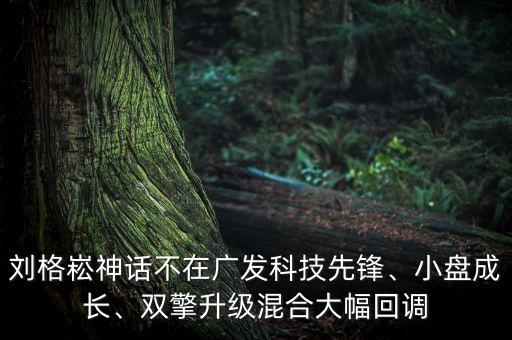 劉格崧神話不在廣發(fā)科技先鋒、小盤成長、雙擎升級(jí)混合大幅回調(diào)