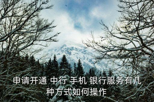 申請開通 中行 手機(jī) 銀行服務(wù)有幾種方式如何操作