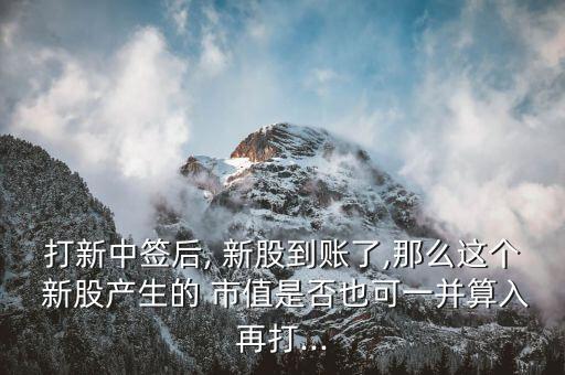 停牌的股票能作為市值申購新股嗎,深圳申購新股對(duì)股票市值有什么要求