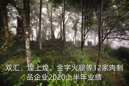 雙匯、煌上煌、金字火腿等12家肉制品企業(yè)2020上半年業(yè)績
