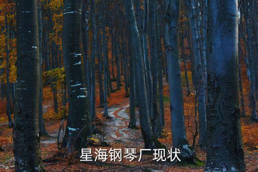  星海鋼琴廠現狀