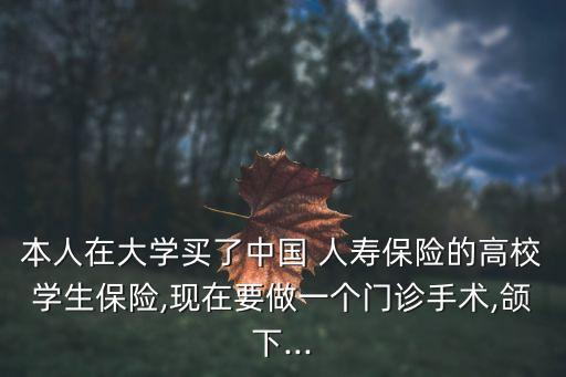中國人壽附加住院補貼