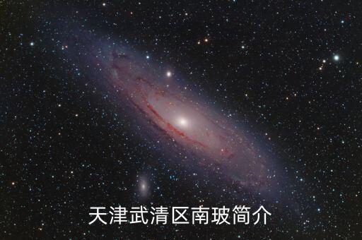 天津武清區(qū)南玻簡(jiǎn)介