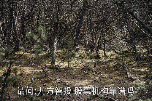 請問:九方智投 股票機(jī)構(gòu)靠譜嗎