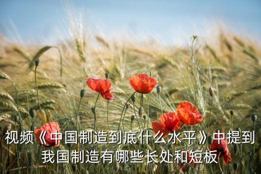 中國(guó)為什么還要做低端的制造業(yè)