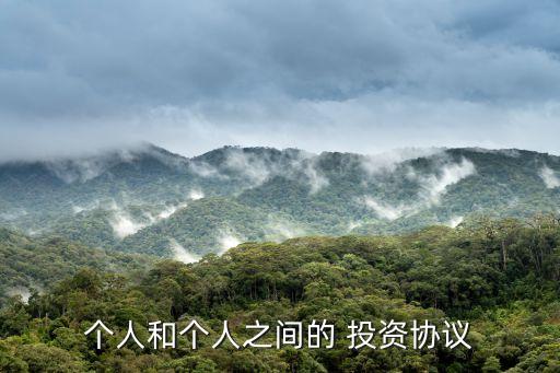 個(gè)人和個(gè)人之間的 投資協(xié)議
