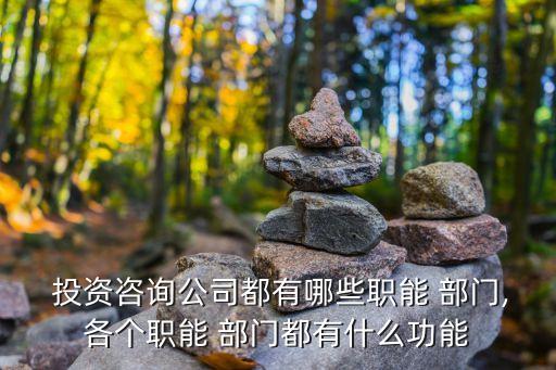  投資咨詢公司都有哪些職能 部門,各個職能 部門都有什么功能