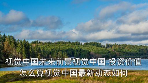 視覺中國未來前景視覺中國 投資價(jià)值怎么算視覺中國最新動(dòng)態(tài)如何
