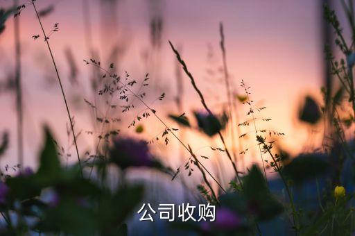 金融公司收購(gòu)
