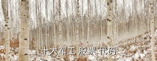 鴻翔控股的股票代碼,鴻翔集團股票代碼