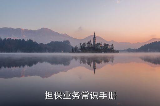 東莞市2013年度擔保公司