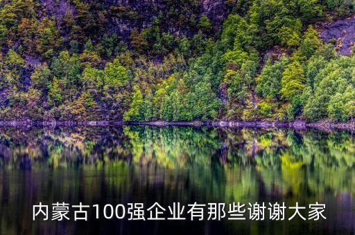 內(nèi)蒙古東源投資集團