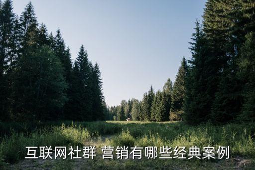 樂視公司的網(wǎng)絡(luò)營(yíng)銷分析